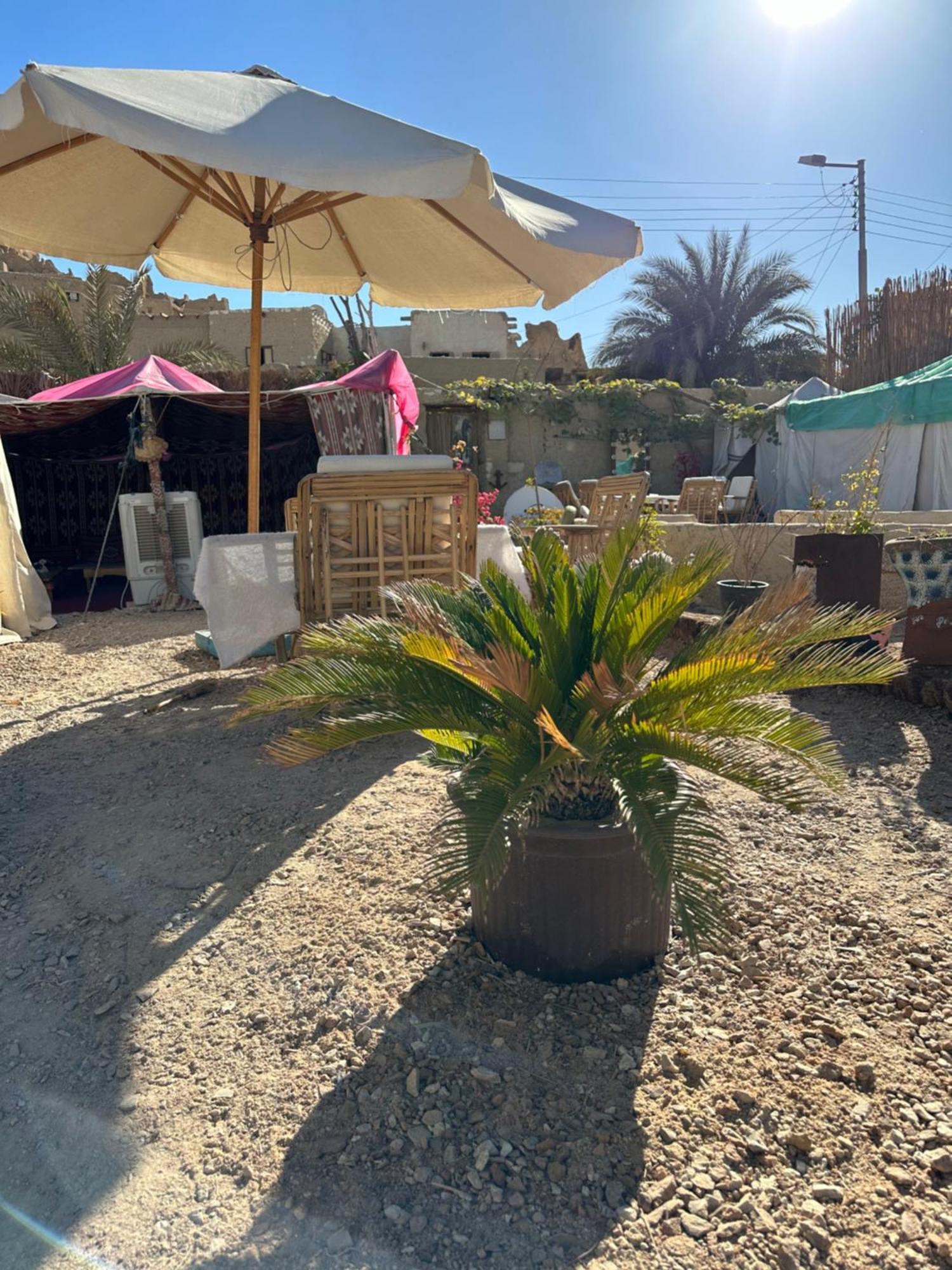 فندق Muhra Camp Siwa Siwa Oasis المظهر الخارجي الصورة
