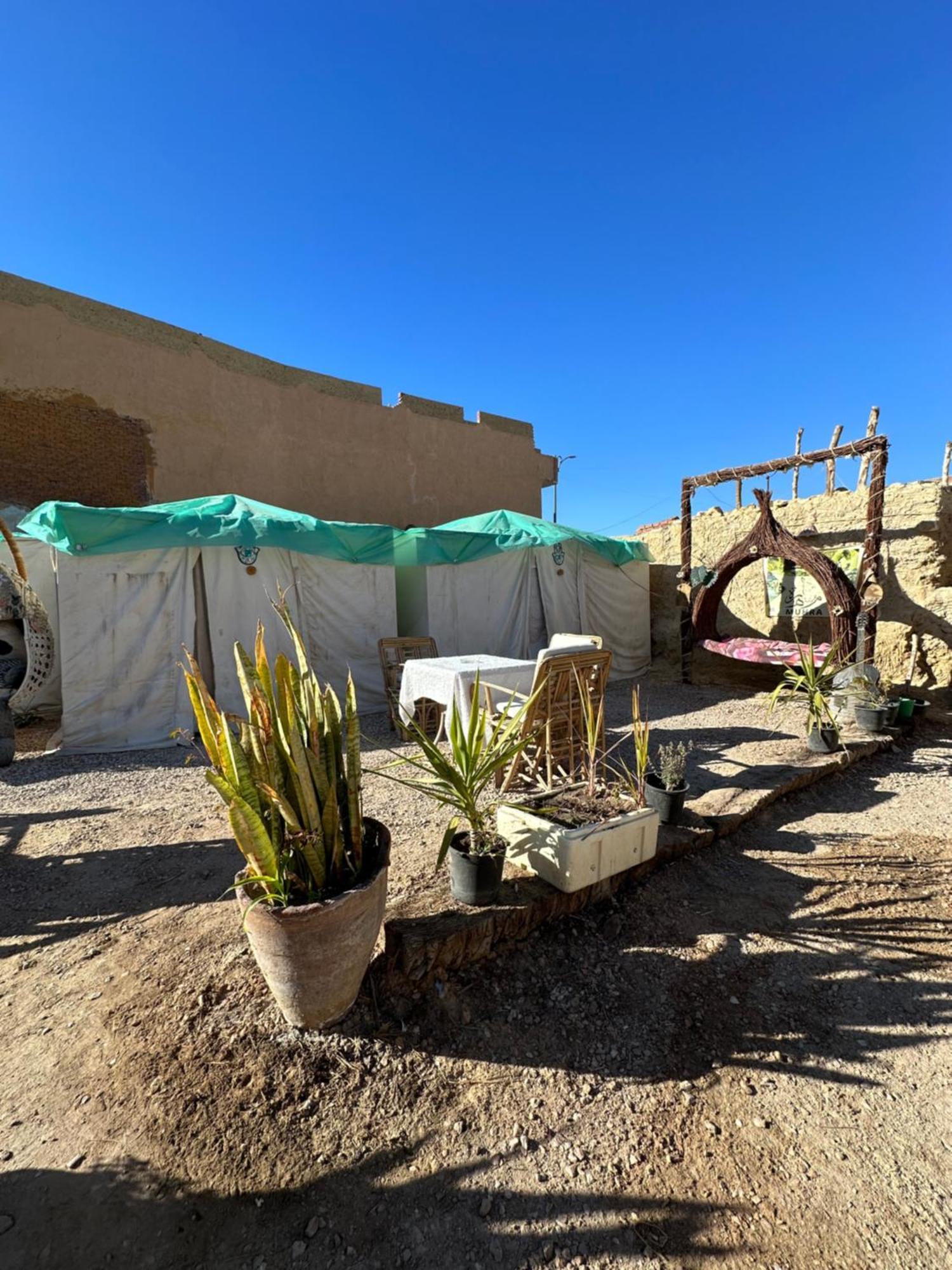 فندق Muhra Camp Siwa Siwa Oasis المظهر الخارجي الصورة