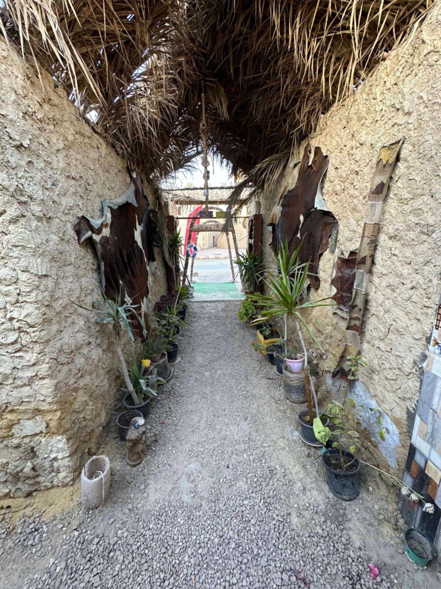 فندق Muhra Camp Siwa Siwa Oasis المظهر الخارجي الصورة
