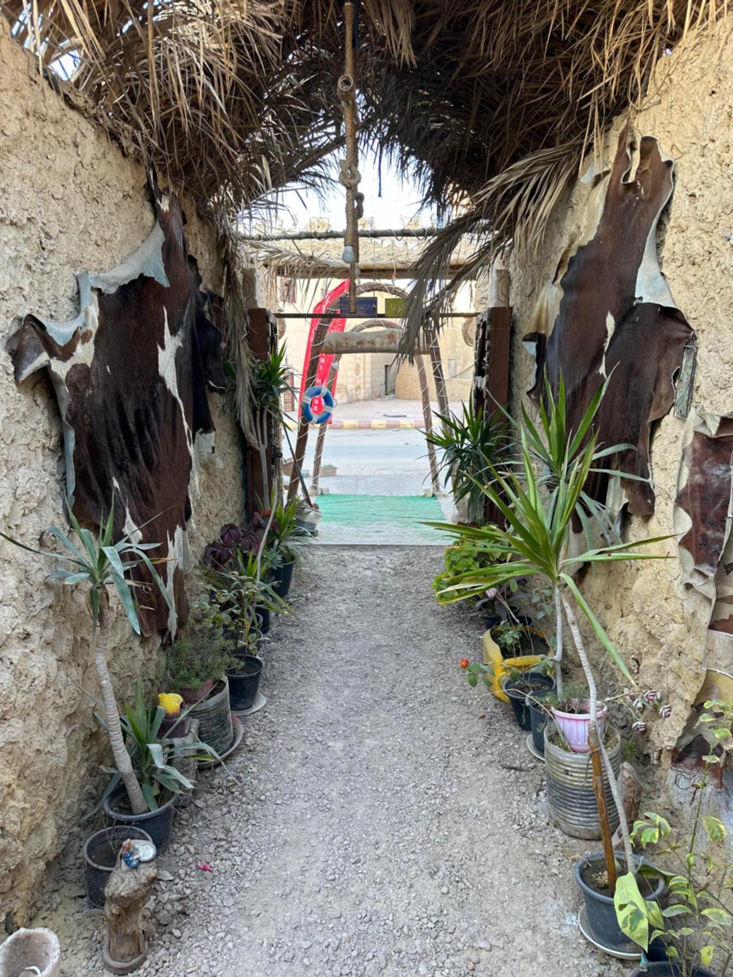 فندق Muhra Camp Siwa Siwa Oasis المظهر الخارجي الصورة